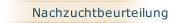 Nachzuchtbeurteilung